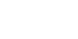 Nexus Logo